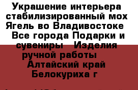 Украшение интерьера стабилизированный мох Ягель во Владивостоке - Все города Подарки и сувениры » Изделия ручной работы   . Алтайский край,Белокуриха г.